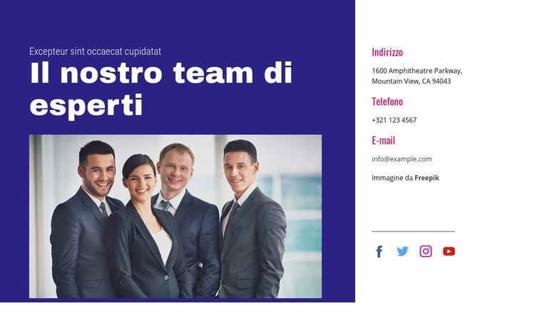 Il nostro team di esperti Progettazione di siti web