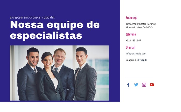 Nossa equipe de especialistas Template CSS