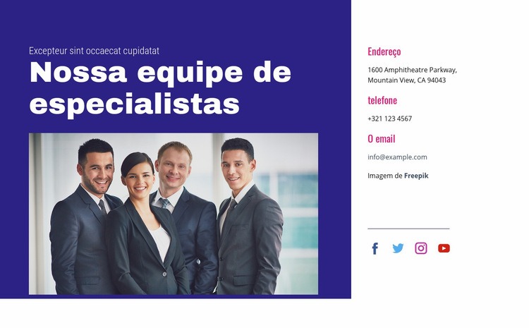 Nossa equipe de especialistas Landing Page