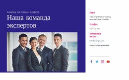 Многоцелевой Дизайн Веб-Сайта Для Наша Команда Экспертов