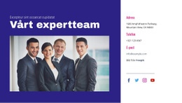 Vårt Expertteam - Modern Webbplatsdesign