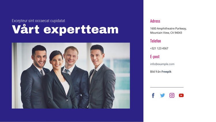 Vårt expertteam WordPress -tema