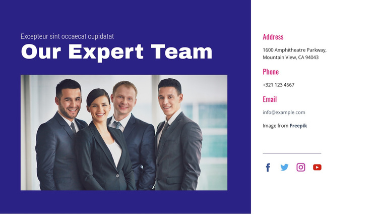 Our expert team Template