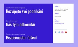 Bezpečnostní Řešení – Bezplatný Motiv WordPress