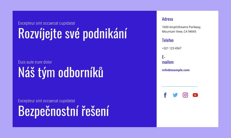 Bezpečnostní řešení Téma WordPress