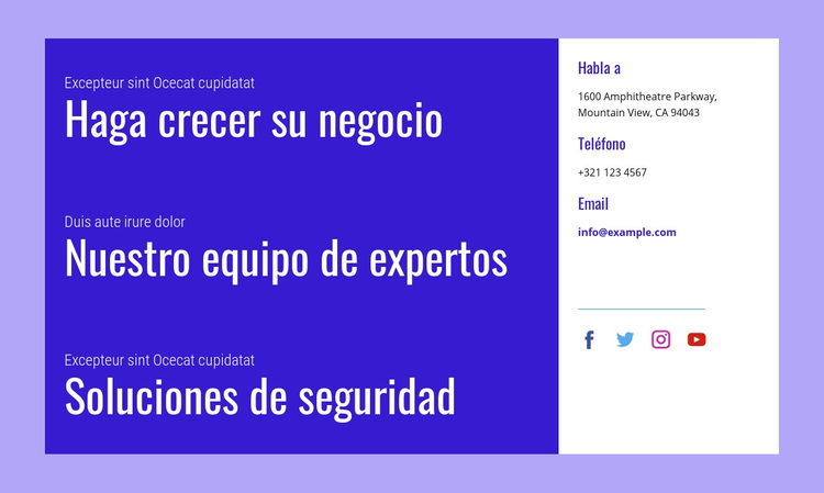 Soluciones de seguridad Tema de WordPress