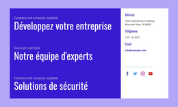 Solutions De Sécurité - Thème WordPress Gratuit