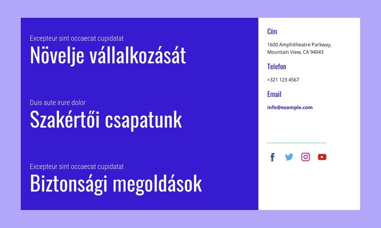 Biztonsági megoldások CSS sablon