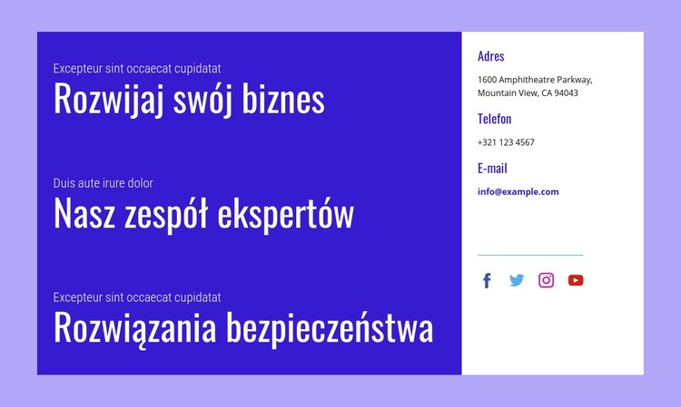 Rozwiązania bezpieczeństwa Projekt strony internetowej