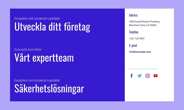 Säkerhetslösningar HTML-mall