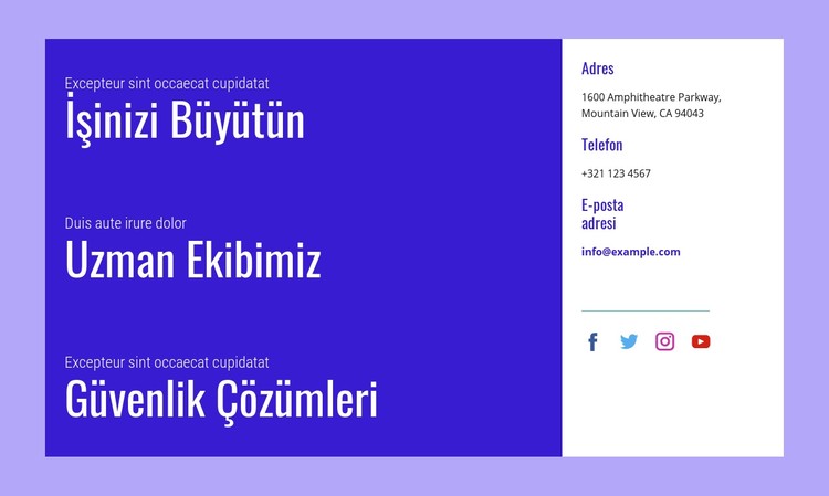 Güvenlik çözümleri CSS Şablonu