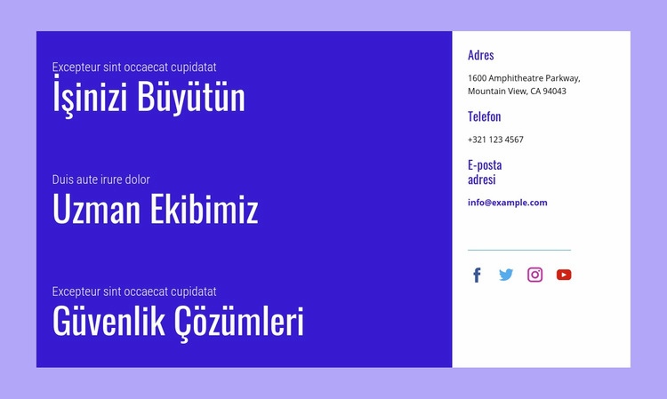 Güvenlik çözümleri Web sitesi tasarımı