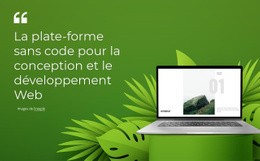 Plateforme Sans Code - Conception De Sites Web Réactifs