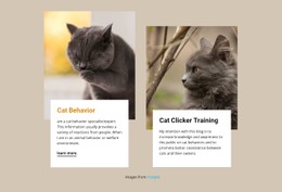 Responsive HTML5 For Training Stimulates A Cat'S Mind