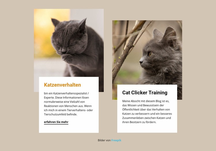 Training regt den Geist einer Katze an Landing Page