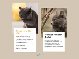 HTML5 Réactif Pour L'Entraînement Stimule L'Esprit D'Un Chat