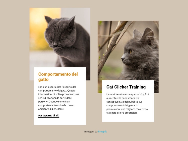 L'addestramento stimola la mente di un gatto Modelli di Website Builder
