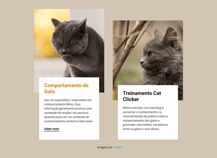 O treinamento estimula a mente de um gato Landing Page