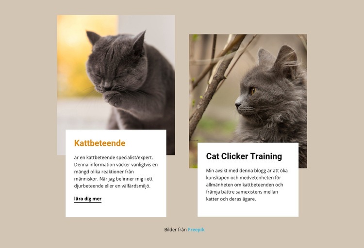 Träning stimulerar kattens sinne HTML-mall
