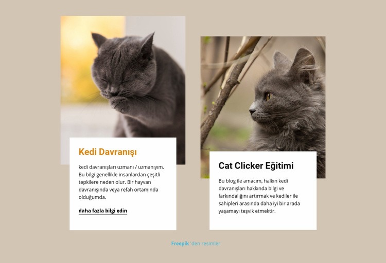 Eğitim bir kedinin zihnini harekete geçirir Html Web Sitesi Oluşturucu
