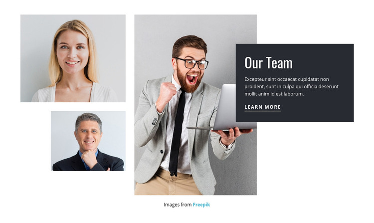 Meet the consulting team Homepage Design