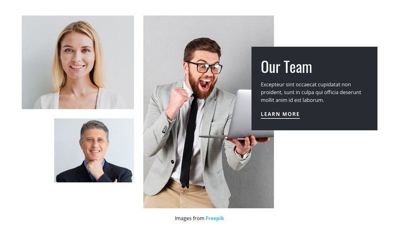 Meet the consulting team Web Page Design