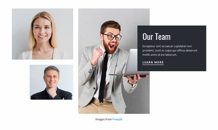Meet the consulting team Webflow Template Alternative