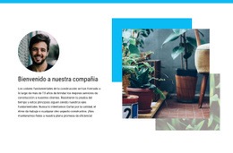 Creador De Sitios Web Exclusivo Para Estudio De Diseño Innovador