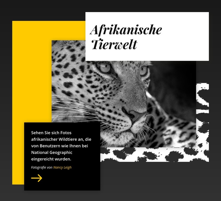 Beste Tierfotos HTML Website Builder