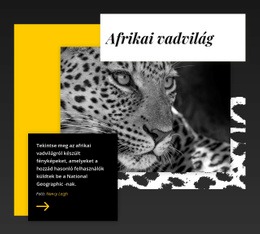 A Legjobb Vadon Élő Fotók – Tökéletes Webhelytervezés