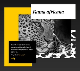 Le Migliori Foto Della Fauna Selvatica - HTML Website Builder