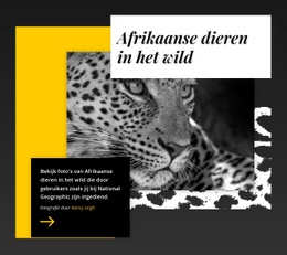 Beste Natuurfoto'S #Css-Templates-Nl-Seo-One-Item-Suffix