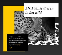 Beste Natuurfoto'S - Online-Sjablonen