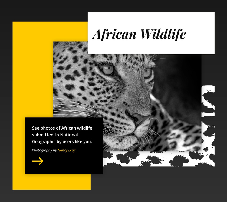 Best wildlife photos One Page Template