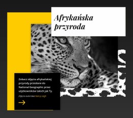 Najlepsze Zdjęcia Dzikiej Przyrody #Templates-Pl-Seo-One-Item-Suffix