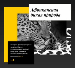 Лучшие Фото Дикой Природы #Css-Templates-Ru-Seo-One-Item-Suffix