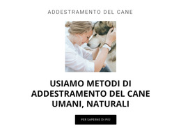 Metodi Di Allenamento Umanitari