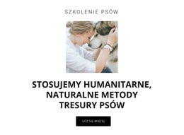 Humanitarne Metody Szkoleniowe - Kreator Stron Internetowych