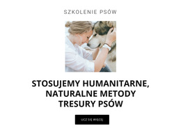 Humanitarne Metody Szkoleniowe - Nowoczesny Motyw WordPress