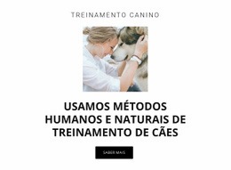 Métodos De Treinamento Humanos