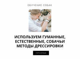 Гуманные Методы Обучения Бесплатный Веб-Сайт