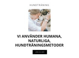 Mänskliga Träningsmetoder - Enkel Gemenskapsmarknad