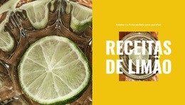 Receitas De Frutas Cítricas - HTML Website Builder