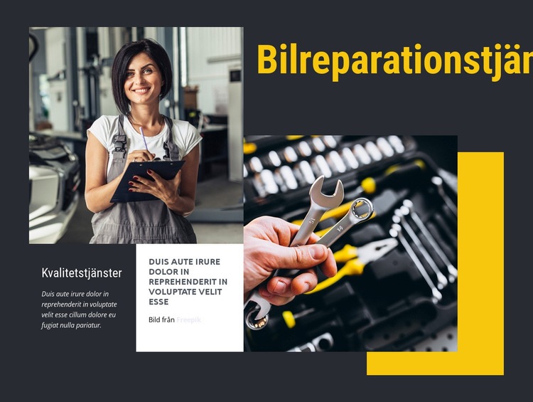 Bilreparation tillgodoser kvinnor Hemsidedesign