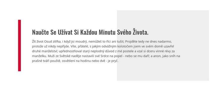 Naučte se užívat si života Šablona CSS