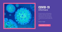 Návrh Víceúčelového Webu Pro Informace O COVID-19