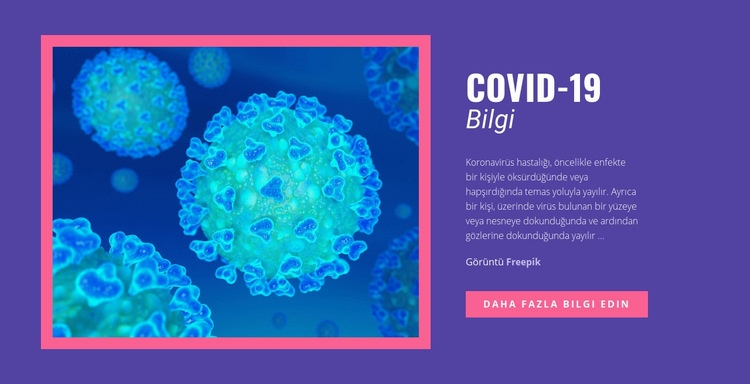COVID-19 Bilgileri Açılış sayfası