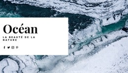 Voyage Océanique Nordique - HTML Website Builder