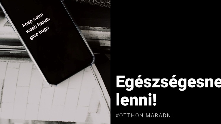 Légy egészséges és maradj otthon WordPress Téma