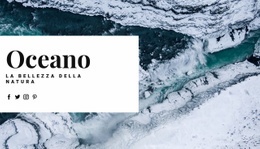 Viaggio Nell'Oceano Nordico - Modello Premium